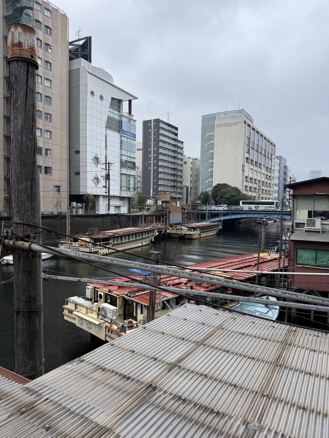 交換留学生との交流(郊外遠足・屋形船)の写真