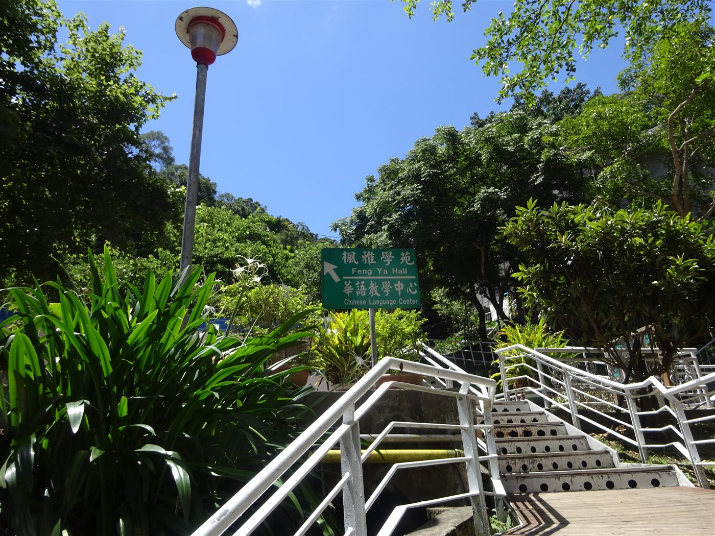 協定留学(台湾)の写真